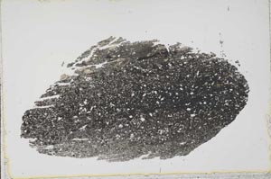 Plane Polarized, S41604