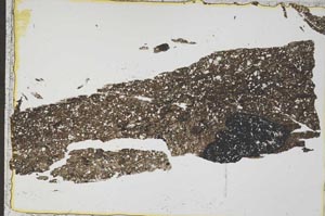 Plane Polarized, S41614