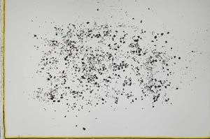 Plane Polarized, S41616