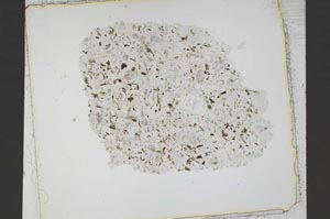 Plane Polarized, S41627