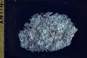 Cross Polarized, S41636