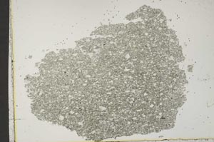 Plane Polarized, S41643