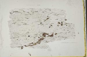 Plane Polarized, S41650