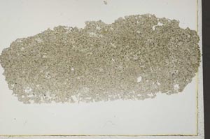 Plane Polarized, S41652