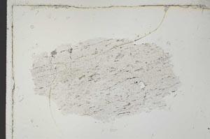 Plane Polarized, S41654