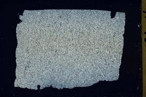 Cross Polarized, S41655
