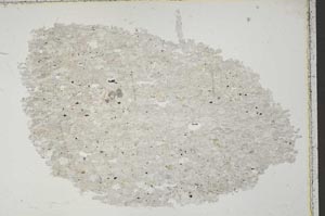 Plane Polarized, S41659