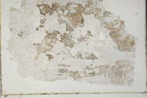 Plane Polarized, S41662