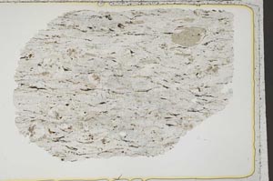Plane Polarized, S41663