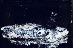 Cross Polarized, S41665