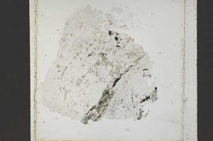 Plane Polarized, S41666