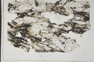 Plane Polarized, S41667