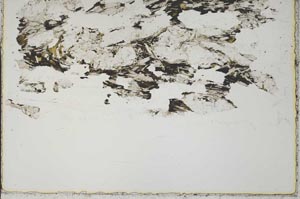 Plane Polarized, S41667/A