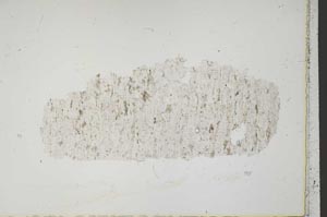 Plane Polarized, S41670