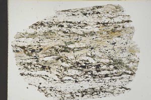 Plane Polarized, S41671