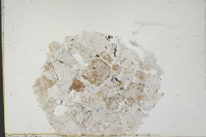 Plane Polarized, S41673