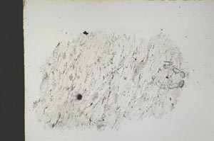 Plane Polarized, S41676
