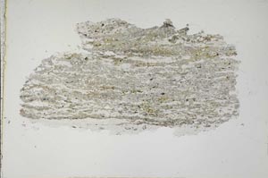 Plane Polarized, S41681