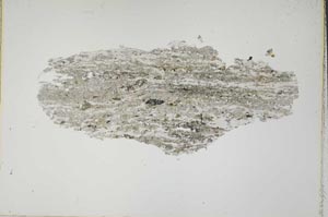Plane Polarized, S41681/A