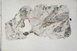 Plane Polarized, S41683