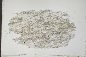Plane Polarized, S41687