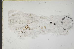 Plane Polarized, S41691