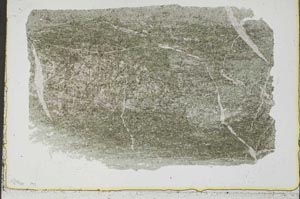 Plane Polarized, S41705
