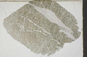 Plane Polarized, S41706