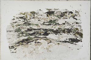 Plane Polarized, S41708