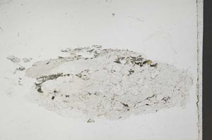 Plane Polarized, S41709