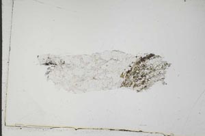 Plane Polarized, S41710