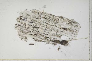 Plane Polarized, S41710/A