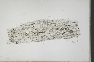 Plane Polarized, S41711