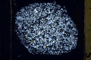 Cross Polarized, S41731