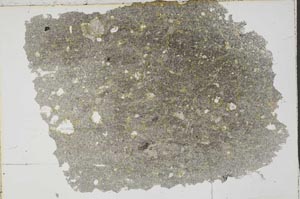 Plane Polarized, S41757