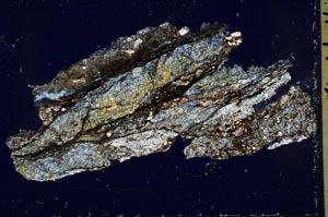 Cross Polarized, S41759