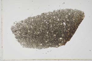 Plane Polarized, S41764
