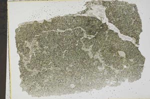 Plane Polarized, S41766