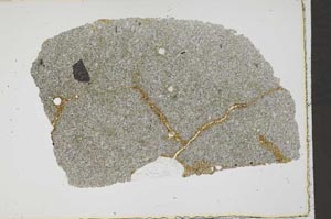 Plane Polarized, S41771