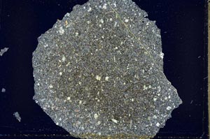 Cross Polarized, S41772