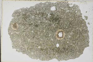Plane Polarized, S41773