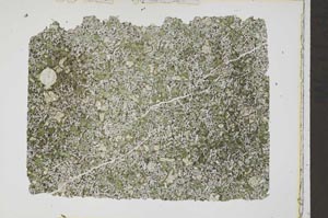 Plane Polarized, S41777