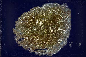 Cross Polarized, S41778