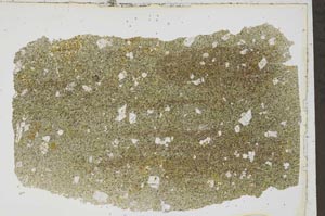 Plane Polarized, S41787