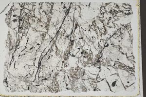 Plane Polarized, S41818