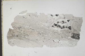 Plane Polarized, S41819