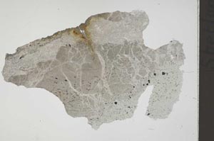 Plane Polarized, S41820