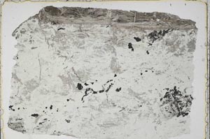 Plane Polarized, S41821