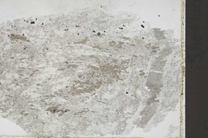 Plane Polarized, S41827