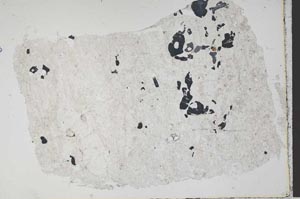 Plane Polarized, S41839